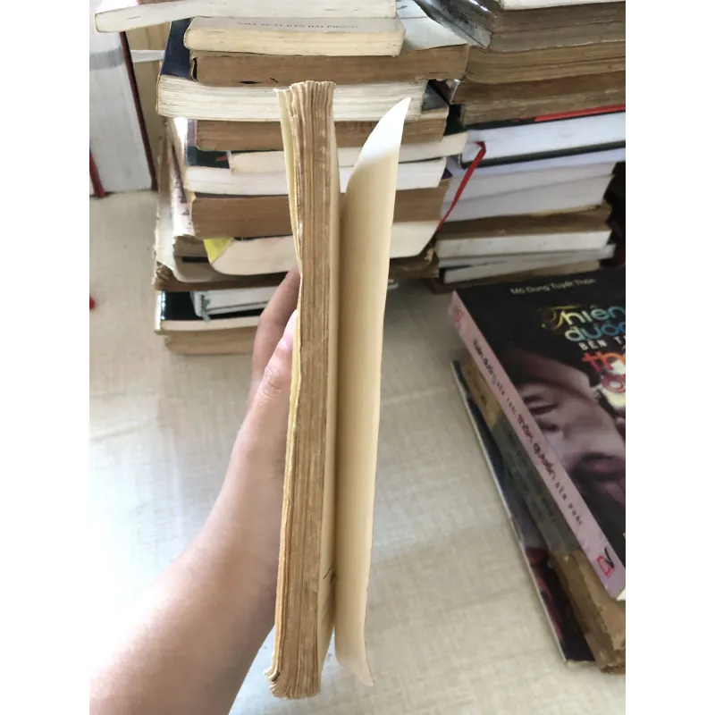 Những ngày sắp đến-Trần Dũng 973896