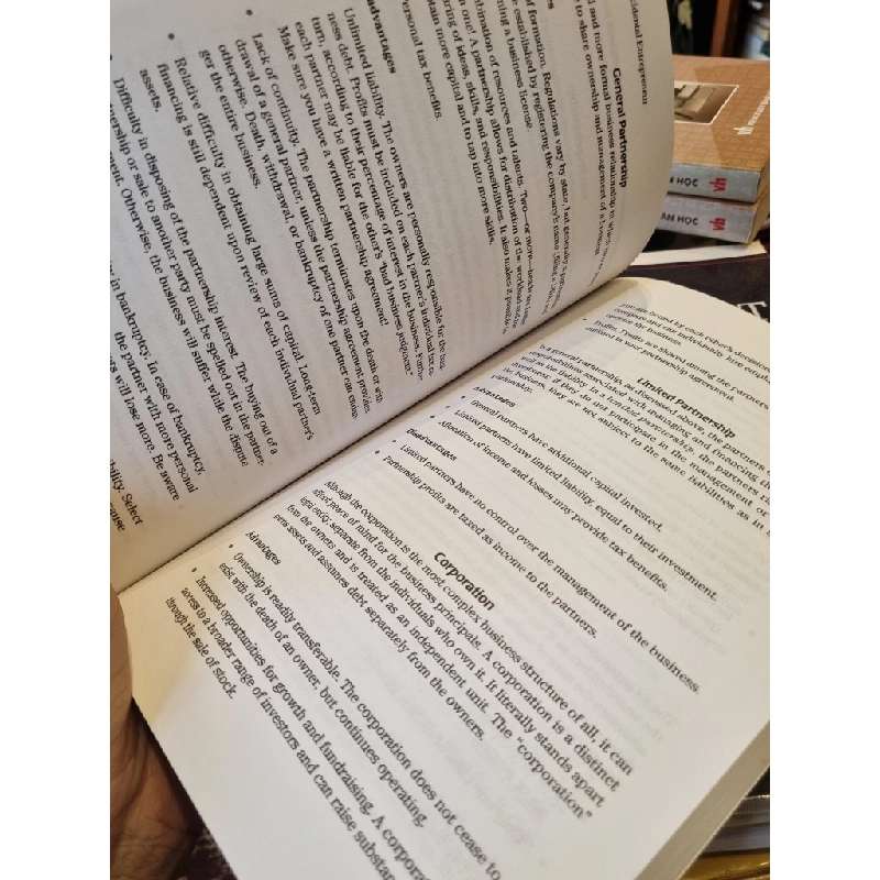 The Accidental Entrepreneur : 50 Things I Wish Someone Had Told Me About Starting A Business - Susan Urquhart-Brown 378122