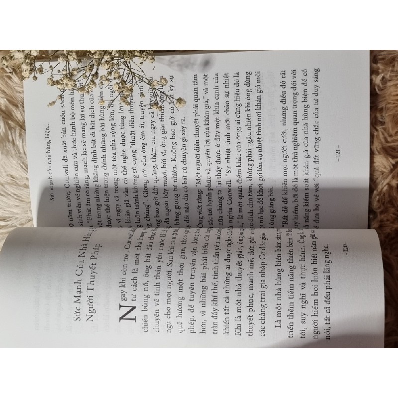 Những cánh đồng kim cương 214