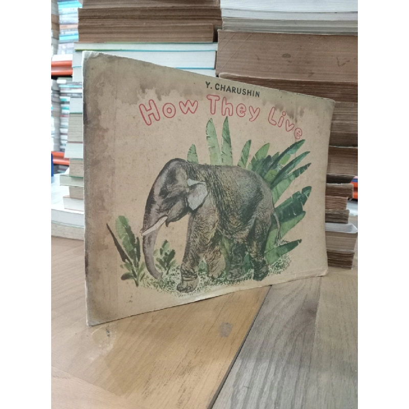 How they live - Y. Charushin 797808