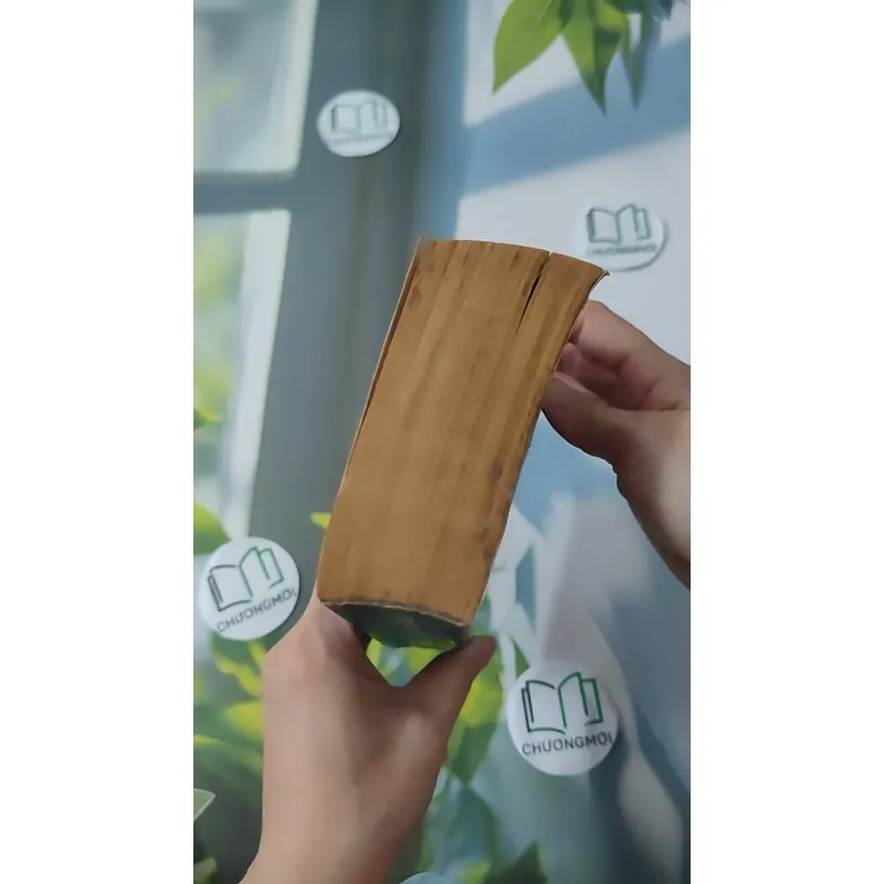 [MIỄN PHÍ BỌC SÁCH] [XƯA] Detective (1998) - Arthur Hailey 1027513