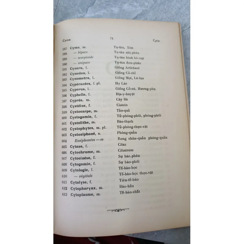 DANH TỪ THỰC VẬT PHÁP VIỆT 749478
