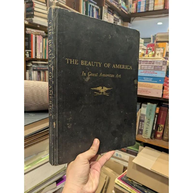 The Beauty of America 712437