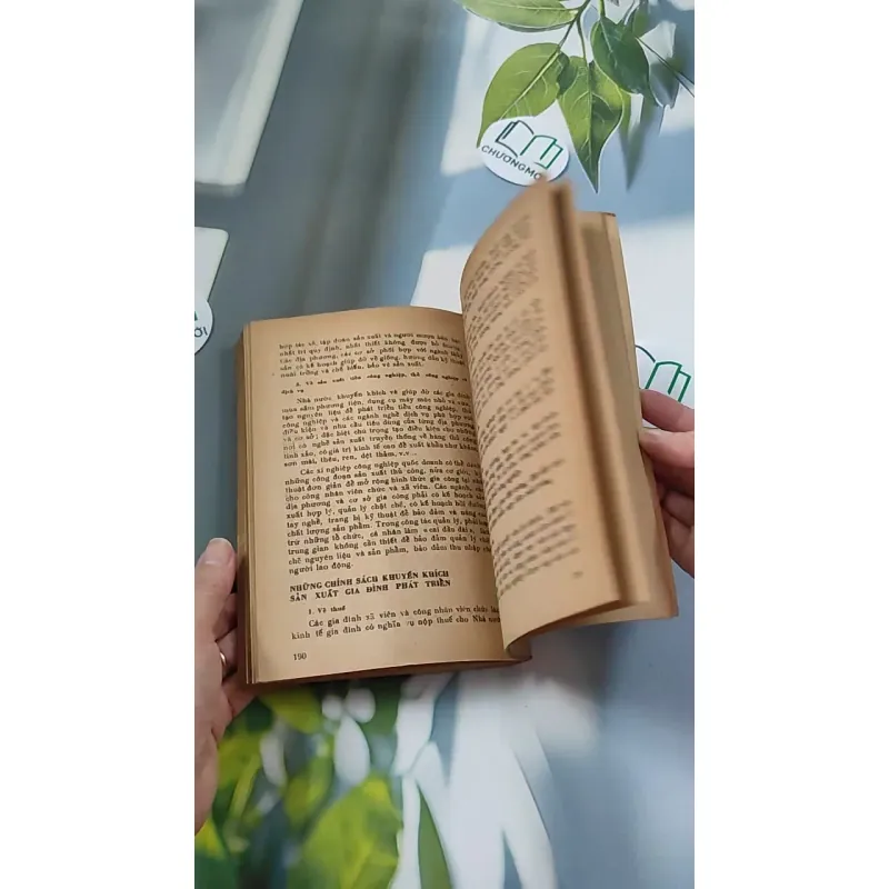 [XƯA] Luật Lệ Về Hôn Nhân Và Gia Đình (1987) 776079