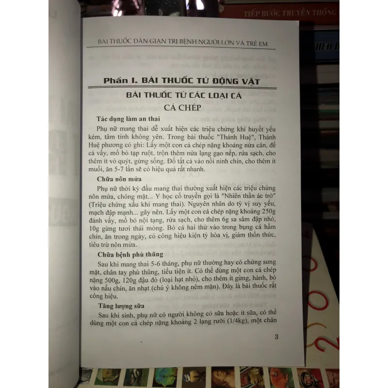 Bài thuốc dân gian trị bệnh người lớn và trẻ em - Lâm Hà - Quang Nhân 778301