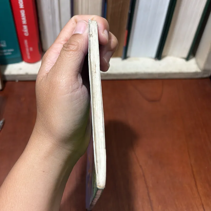 II Sách Thiếu Nhi: Nắng Phương Nam - Trần Hoài Dương - 1998 722491