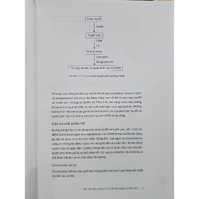 Nội tiết sinh sản - GS.BS. Nguyễn Thị Ngọc Phượng 1004326