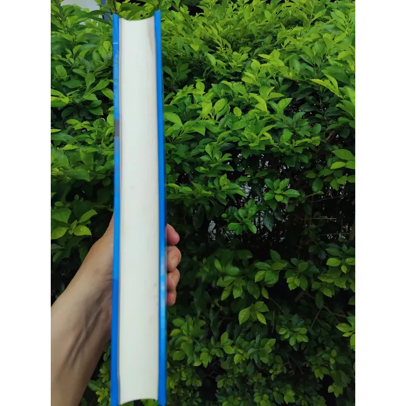 Báo chí với vấn đề biển đảo và duyên hải Việt Nam của Dương Xuân Sơn 990383