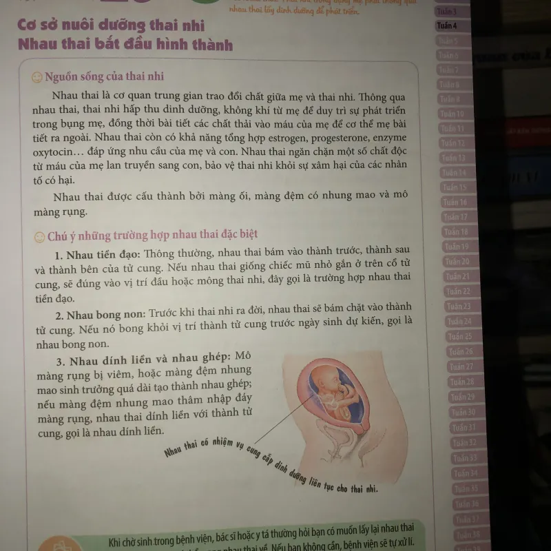 Mang thai thành công 280 ngày - Mỗi ngày đọc một trang - Trạch Quế Vinh 936737