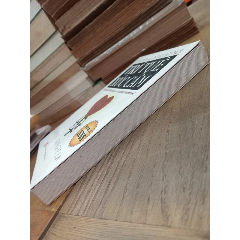 Trí tuệ xúc cảm - Daniel Goleman 256673