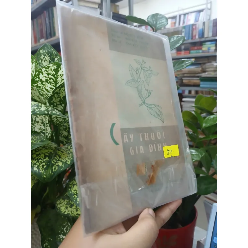 CÂY THUỐC GIA ĐÌNH 588890