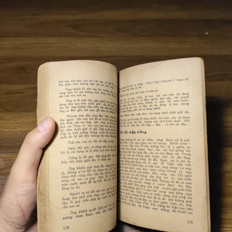 Các Con Vật Trên Rừng Dưới Biển - Đoàn Giỏi 1022201