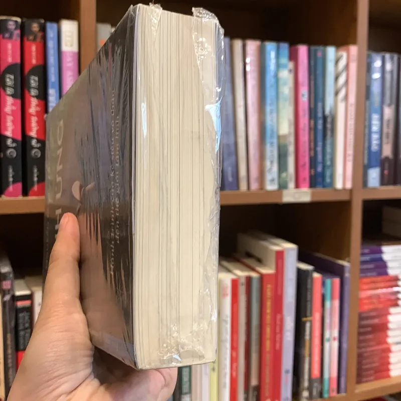 Linh ứng - Nguyễn Mạnh Tuấn  719573