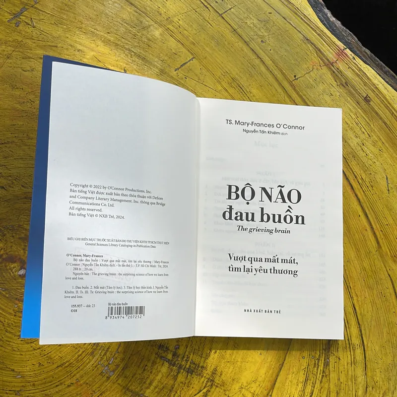 BỘ NÃO ĐAU BUỒN- TS. MARY-FRANCES O’CONNOR  689650