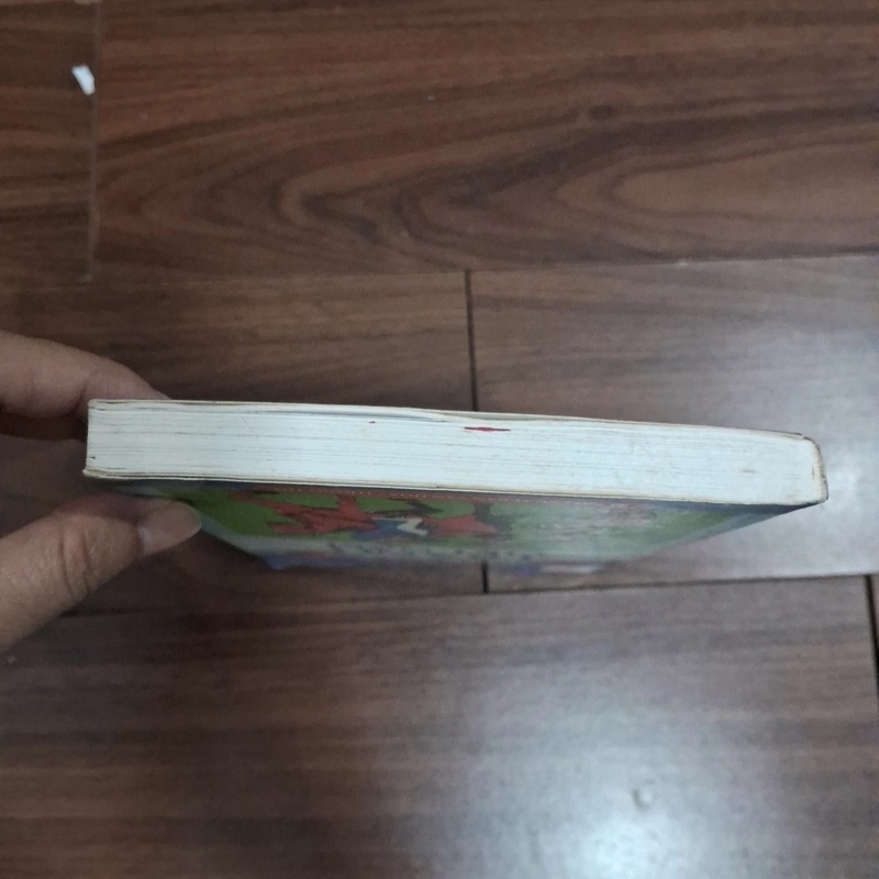 Kể chuyện trạng việt nam 518443