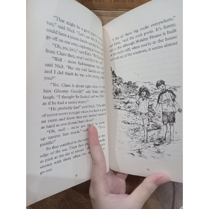 The riddle of holiday house - Enid Blyton 504545