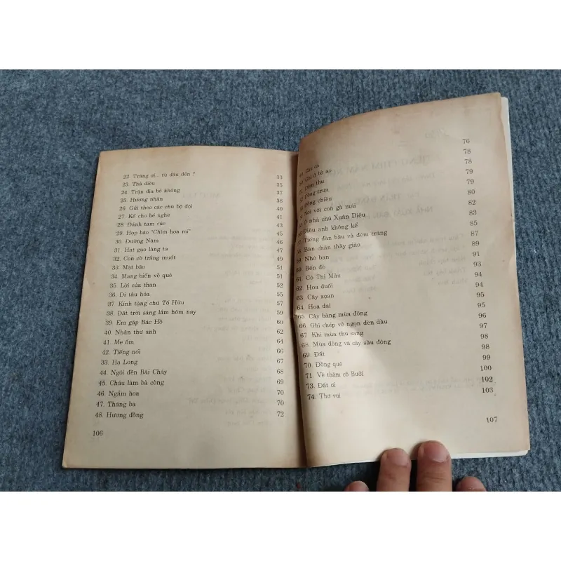 TIẾNG CHIM NĂM NGOÁI - TRẦN ĐĂNG KHOA 701877