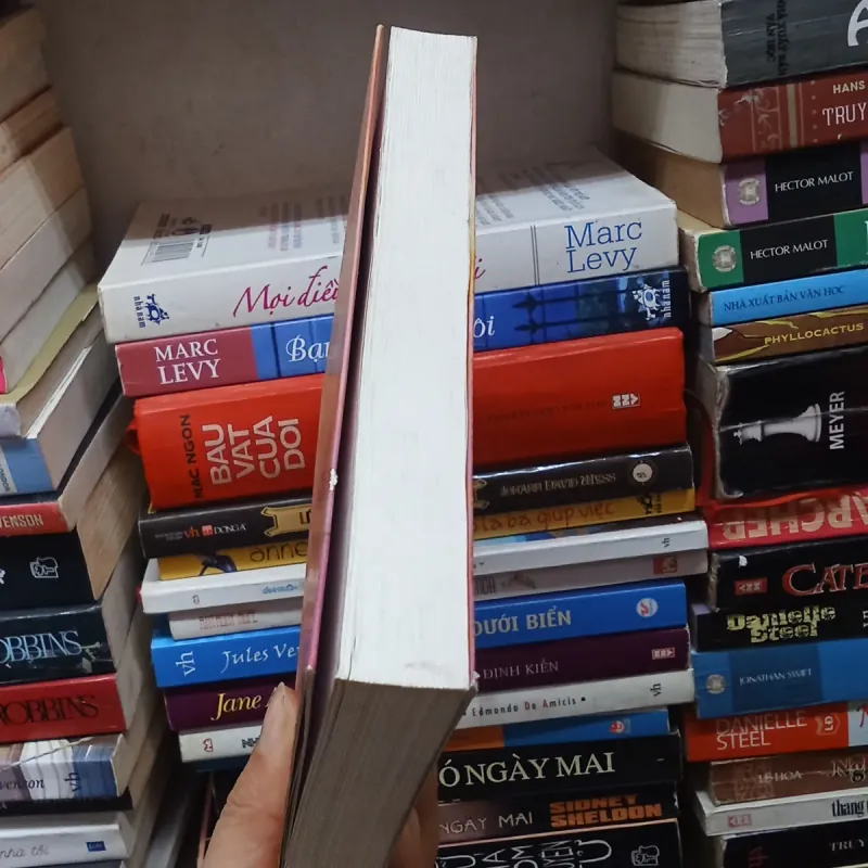 Chân trời đảo ngược - Marc Levy  785839