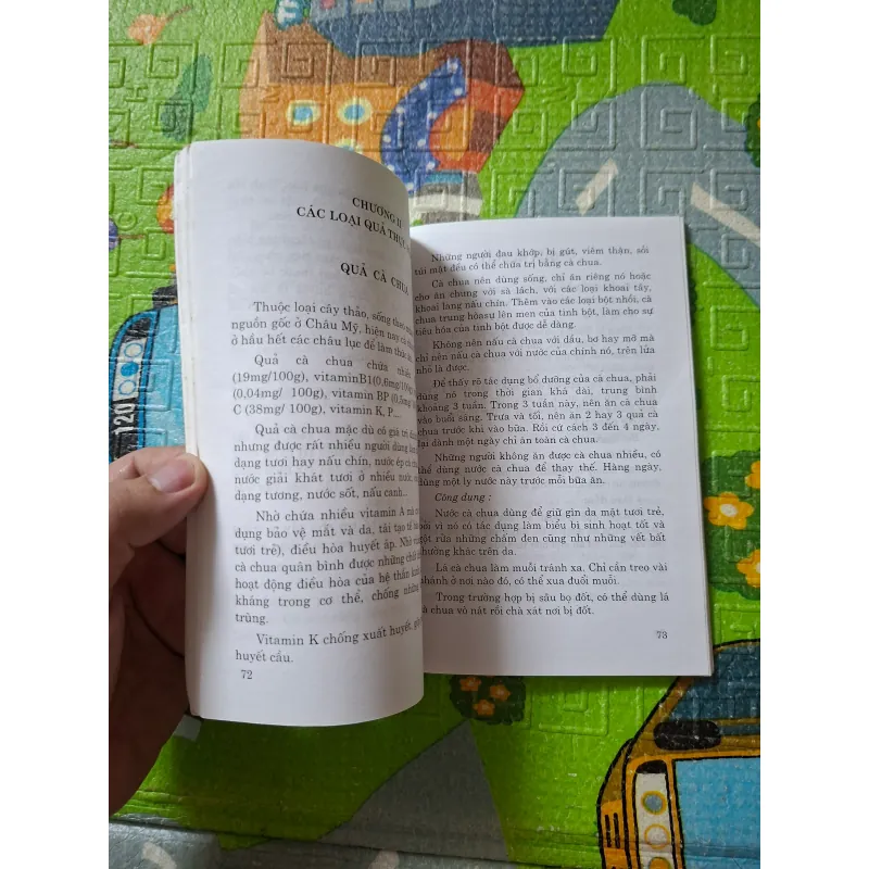 Rau, hoa quả thực phẩm và chữa bệnh 1023270