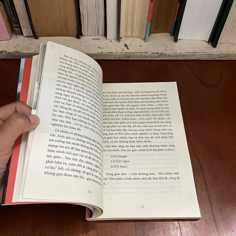 II Tựa sách: An Nhiên Mà Sống - Lê Đỗ Quỳnh Hương - 2019 576898