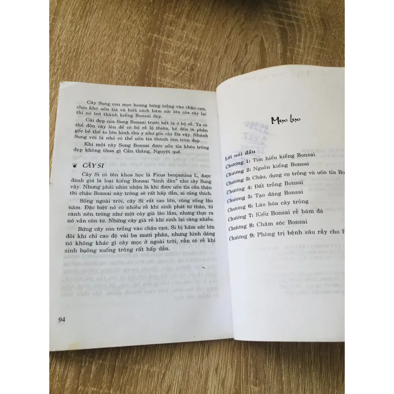 110 CÂU HỎI ĐÁP CHĂM SÓC VÀ TẠO DÁNG BONSAI 1007318
