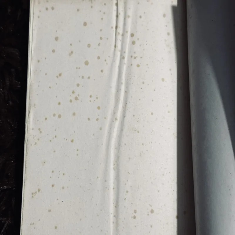 Combo 2c Nguyễn Huy Thiệp 713117