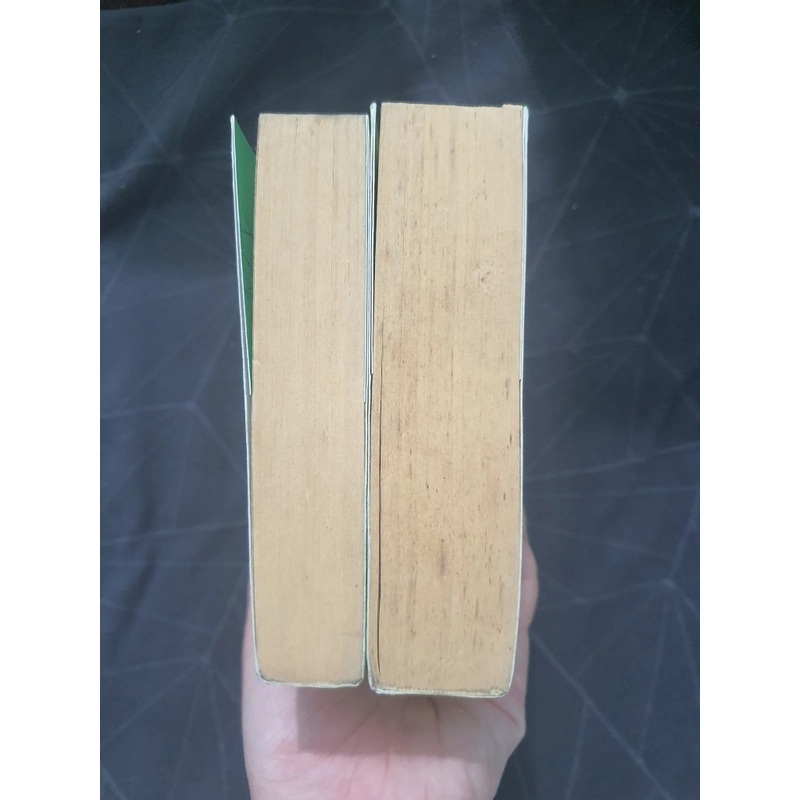 "Bích tiêu cửu trùng xuân ý vũ" - Tịch Nguyệt Giảo Giảo 498936