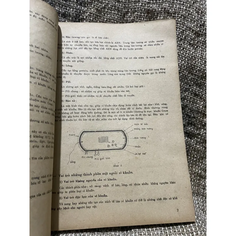 Vì khuẩn học - sách y khổ lớn, 150 trang  1009199
