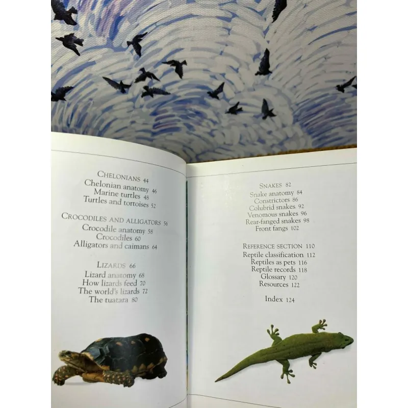 Pockets: Reptiles 1022230