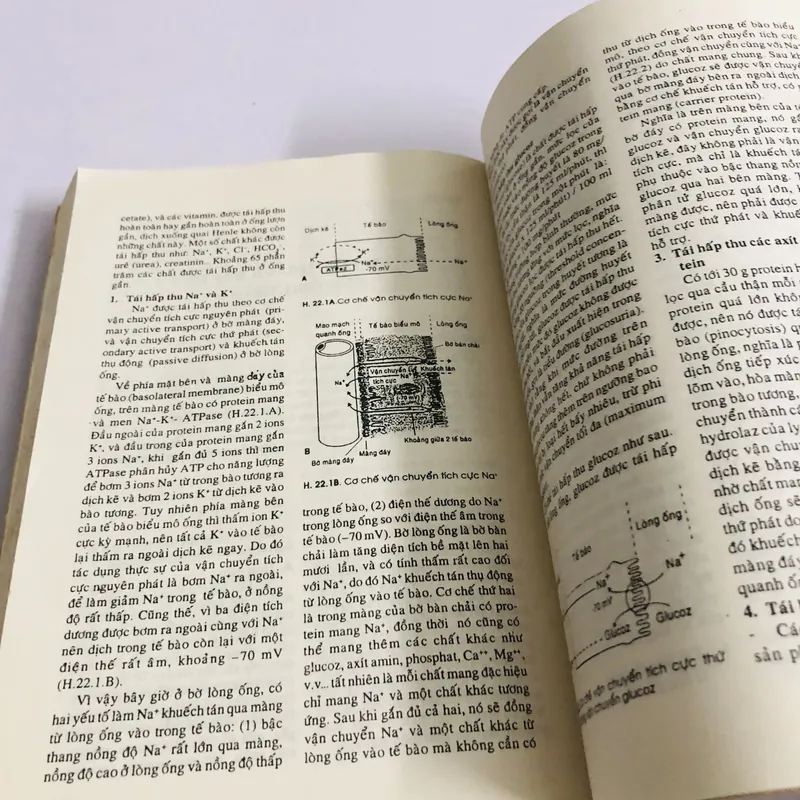 THỰC TẬP HOÁ SINH Y HỌC  675231