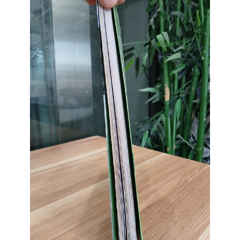 Giáo Trình Hán Ngữ Tập 1 (Quyển Thượng, Phiên Bản Mới) 550556