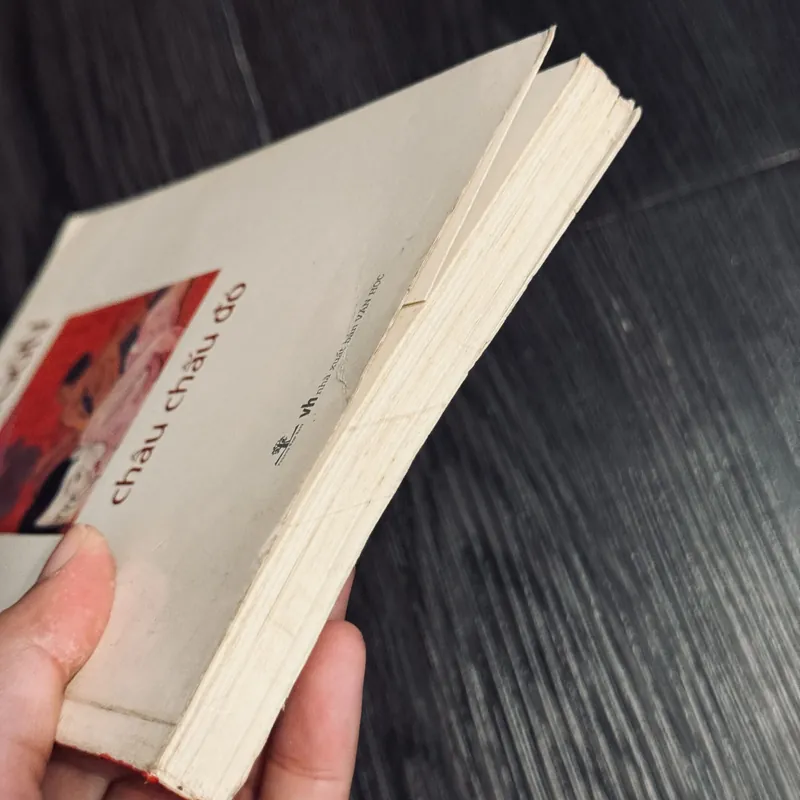 Châu chấu đỏ - Mạc Ngôn 576326