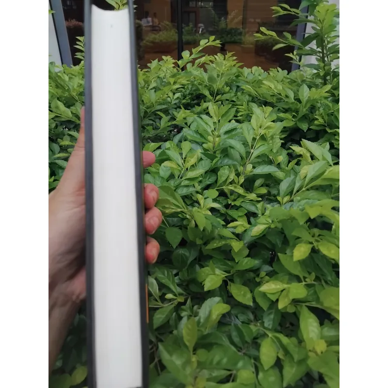 Truyện ngắn Lỗ Tấn  994783