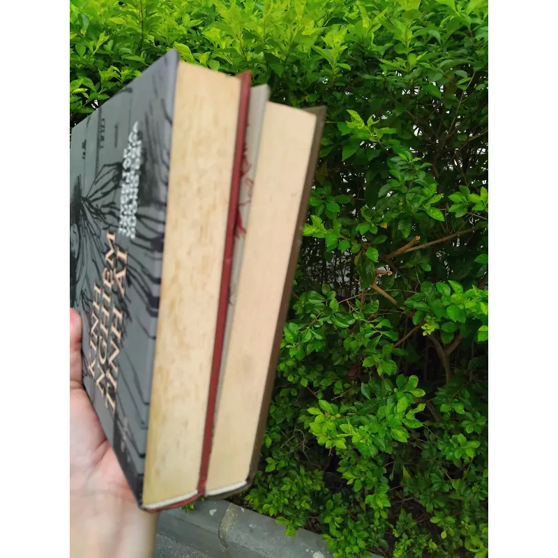 Đôi cánh + Kinh nghiệm tình ái combo 1002602