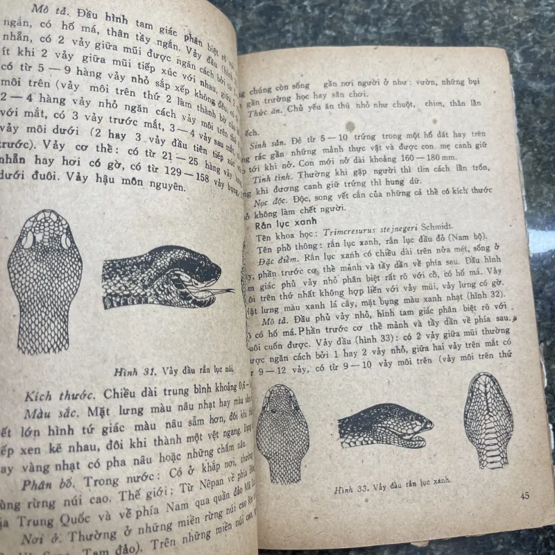 Các loài rắn độc ở Việt Nam Trần Kiên Nguyễn Quốc Thắng 762285