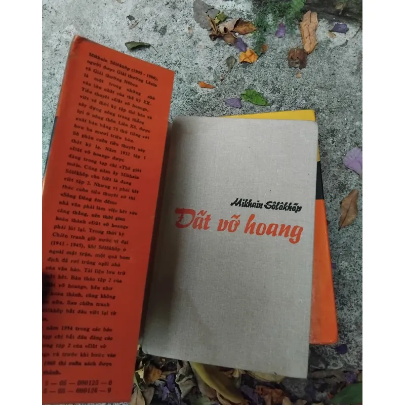 Đất vỡ hoang của Mikhail Solokhov 1031382