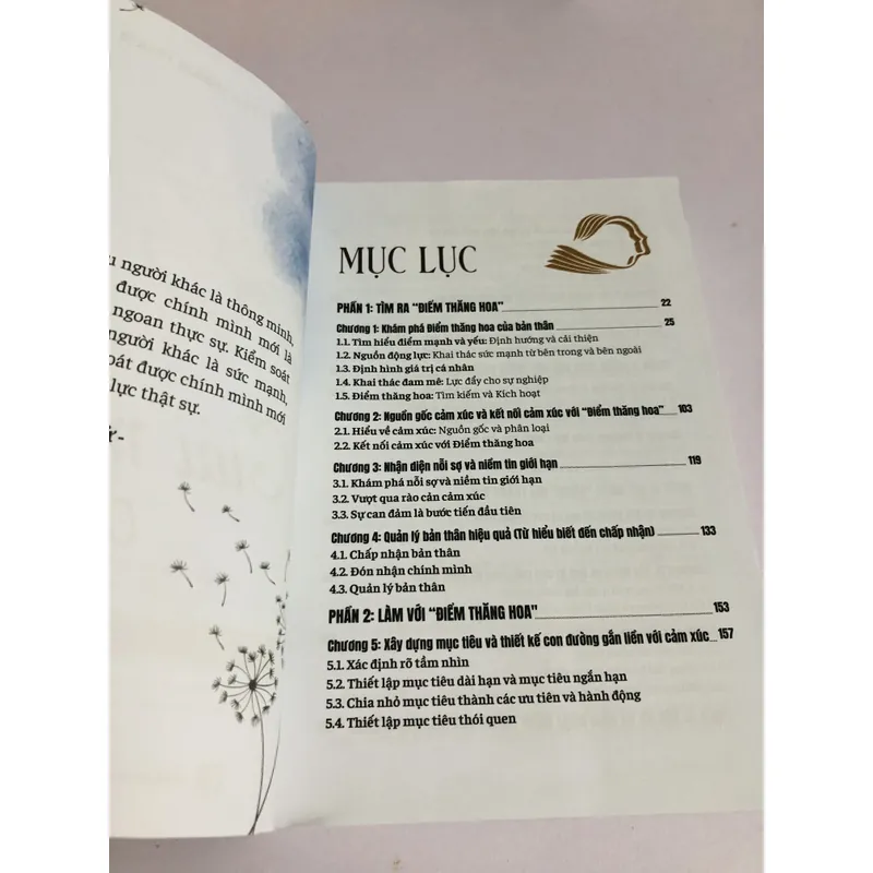 📚 GIẢI MÃ CẢM XÚC – BÍ QUYẾT THĂNG HOA (Lita Hoàn Phạm) 726449