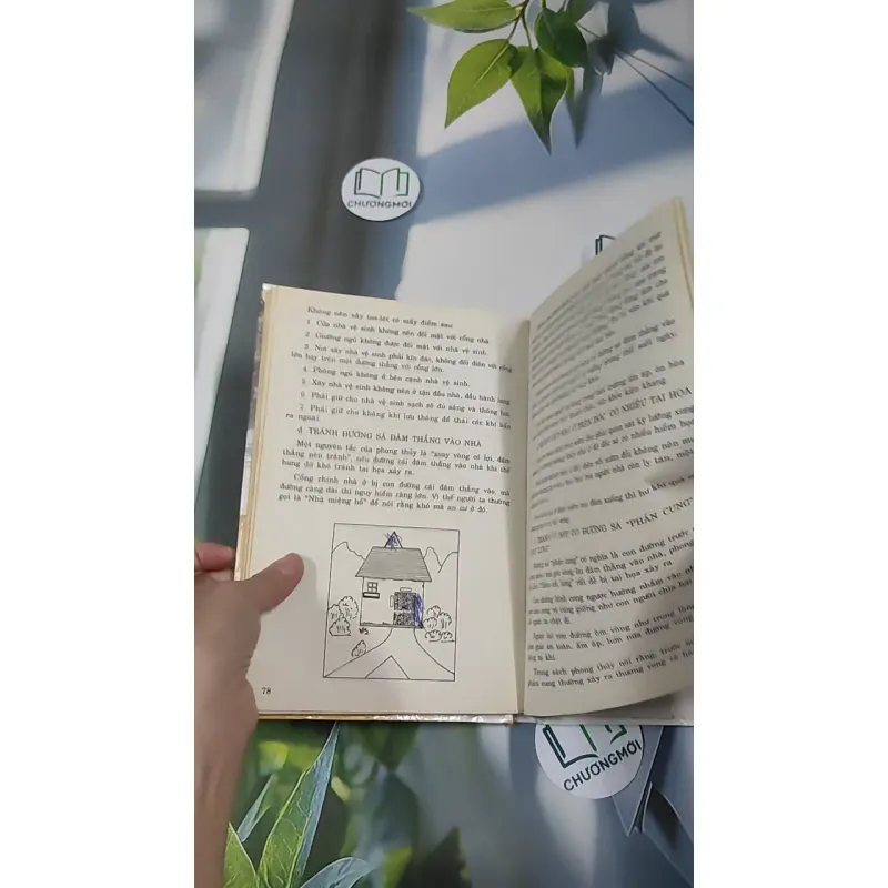 Phong Thủy Trong Hôn Nhân - Thanh Long 990527