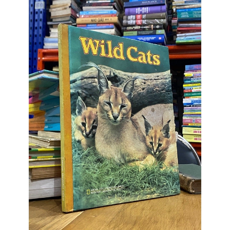 Wild Cats 550895