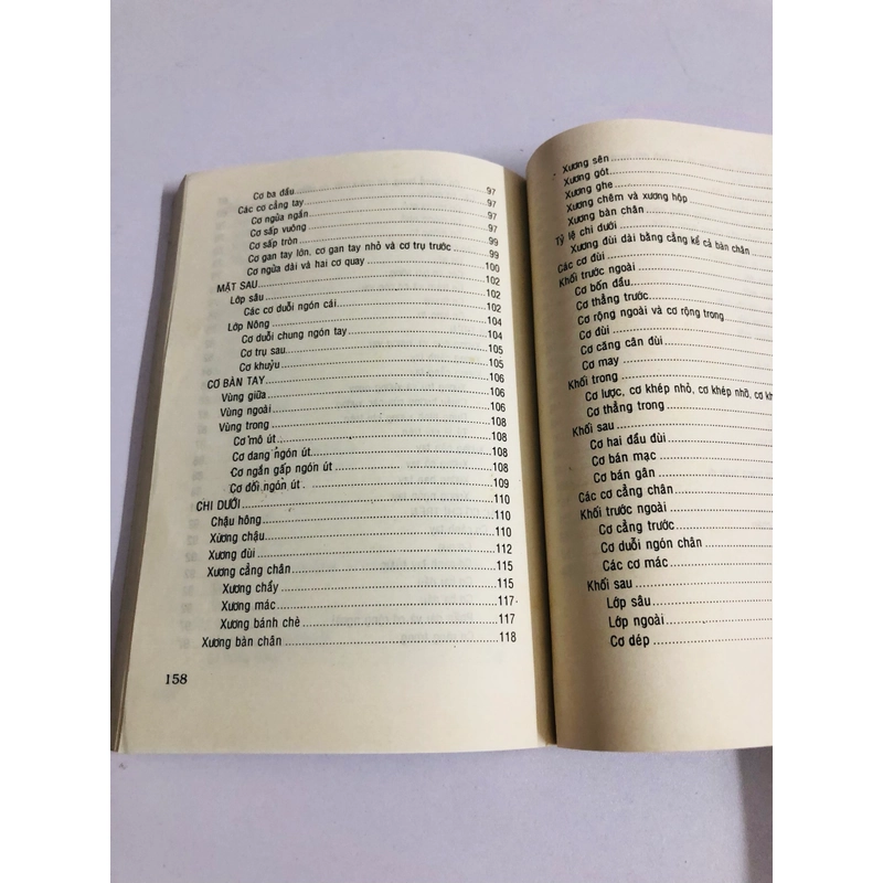 GIẢI PHẪU TẠO HÌNH 539433