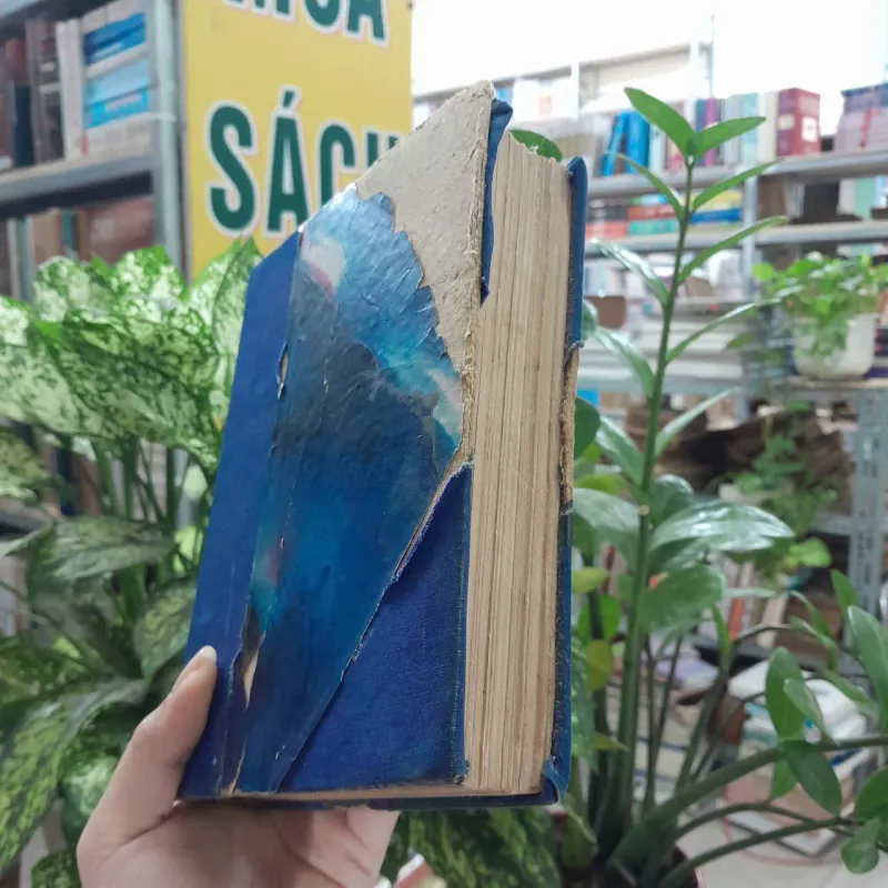 MÙA GẶT - XƯƠNG LÂM, TRANG ĐỨC CƠ 778518