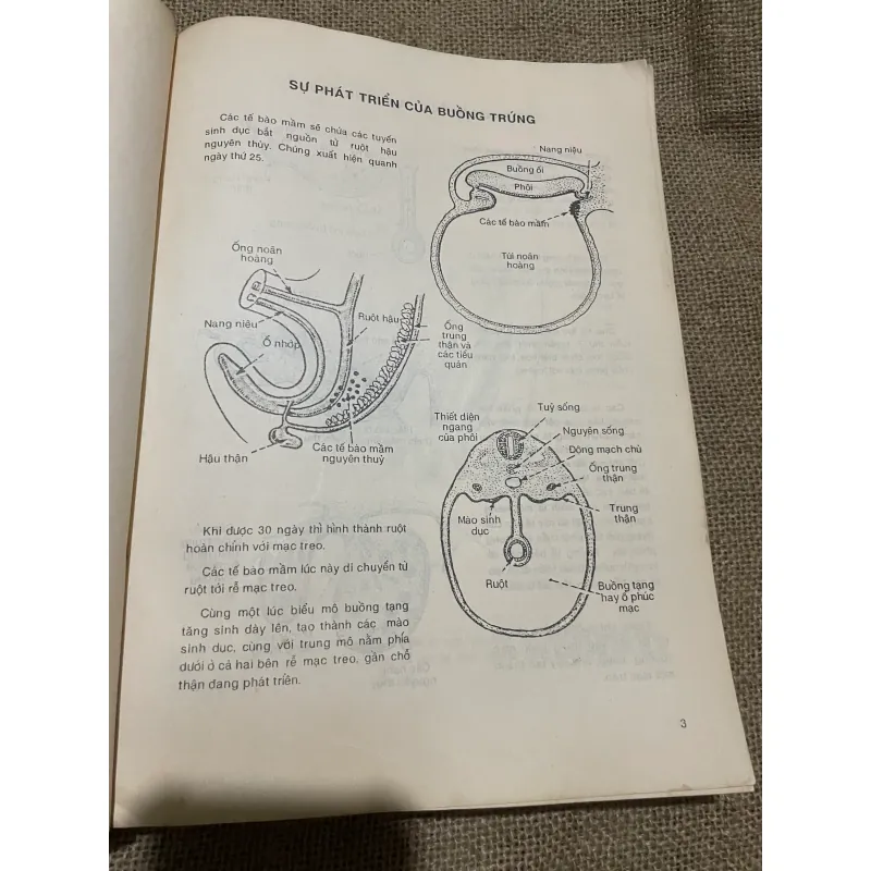 PHỤ KHOA HÌNH MİNH HỌA, A.D.T.Govan,C.Hodge-R.Callander, 1995 569822