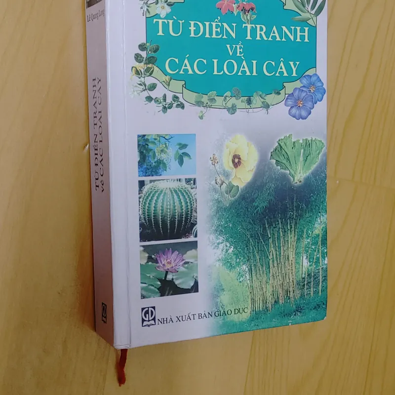 TỪ ĐIỂN TRANG VỀ CÁC LOẠI CÂY  571018