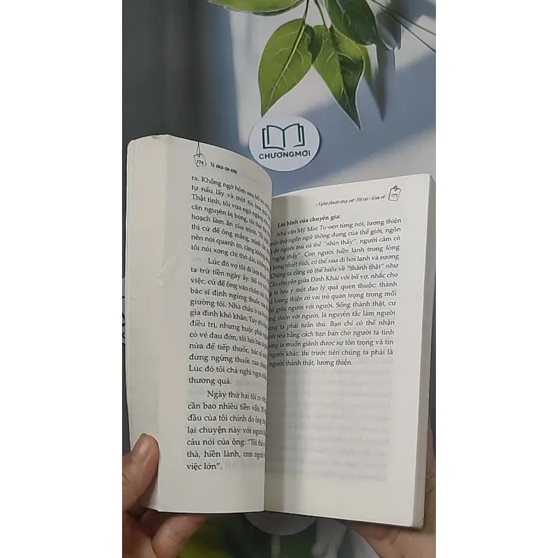 Nghệ thuật ứng xử bố vợ - con rể - Mai Hương 688504