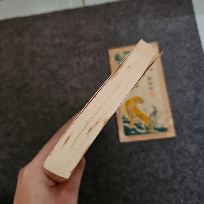 Ký ức vụn - Nguyễn Quang Lập 736887