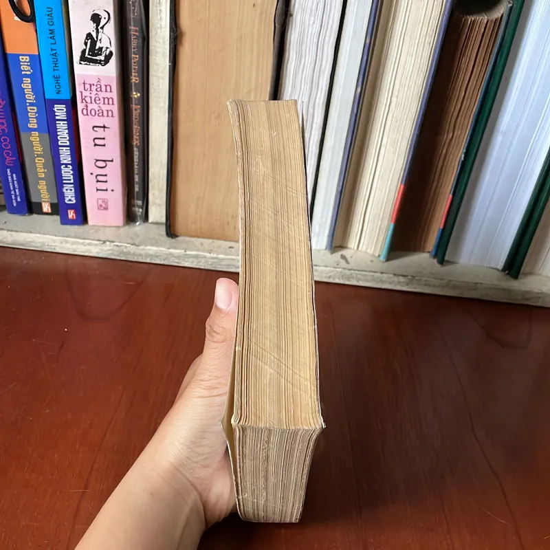 II Tựa sách: Cuộc Hành Trình Không Mới (Tập 2) - Vương Sỹ Đình - 1997 569321