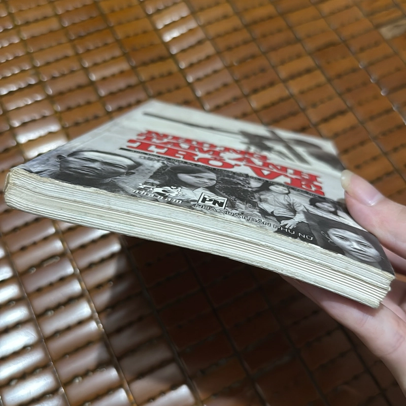 Những tấm ảnh trở về 531629