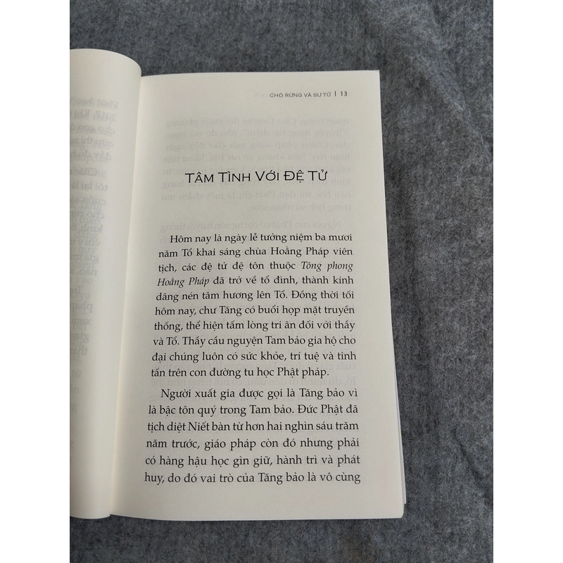 CHÓ RỪNG VÀ SƯ TỬ 549217