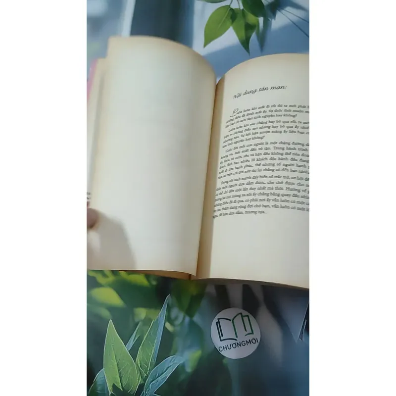 Khi Ta Đi Lướt Qua Nhau - Dạ Dao 1018875