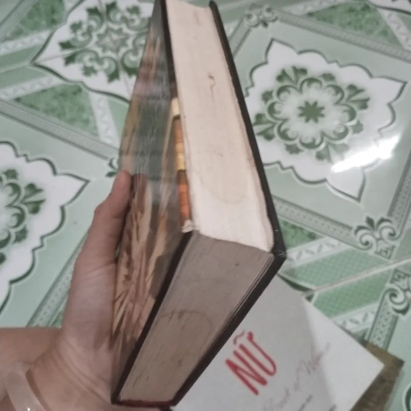 Tay Cự Phách Shidney Sheldon bìa cứng  561491